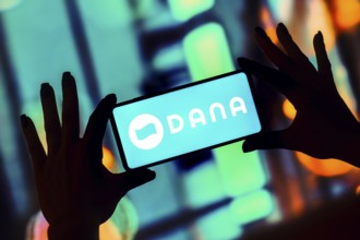 In this photo illustration, the Dana logo is displayed on a smartphone screen
