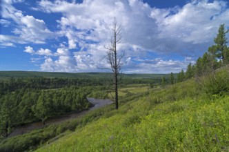 The spurs of the Eastern Sayan, Siberia, Russia, Europe