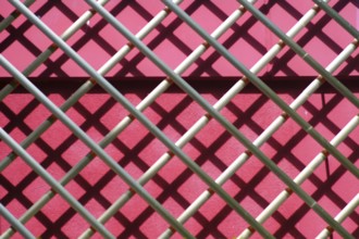 A symmetrical metal frame with large lattices serves as a climbing frame for climbing plants
