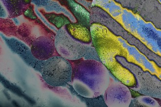 Oil bubbles inside water base form patterns