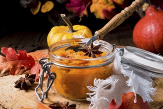 An autumnal rustic pumpkin