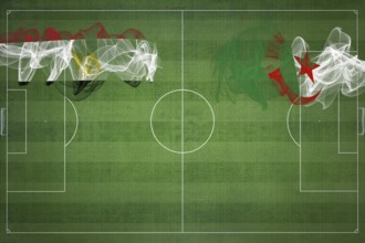 Egypt vs Algeria Soccer Match, national colors, national flags, soccer field, football game,