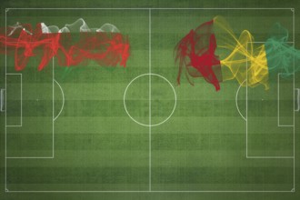 Oman vs Guinea Soccer Match, national colors, national flags, soccer field, football game,