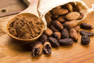Cocoa (cacao) beans on natural wooden table, lodz, poland