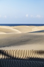 Maspalomas Dunes, Gran Canaria, Canary Islands, Spain photographed at sunset, Spain, Europe