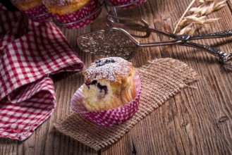 Blueberries muffins