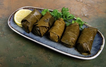 Dolma, minced meat with rice, in grape leaves, rolls with minced meat, on a plate, top view, no