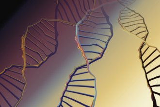 Genome sequencing concept of genome editing. Biotechnology of molecule
