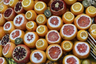 Sliced fruits such as oranges, pomegranates and kiwis show their colourful inner structure,