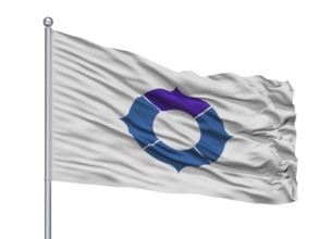 Toyonaka City Flag On Flagpole, Country Japan, Osaka Prefecture, Isolated On White Background