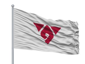 Hadano City Flag On Flagpole, Country Japan, Kanagawa Prefecture, Isolated On White Background