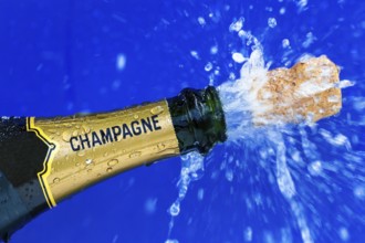 Champagne bottle is opened. Cork shoots out of champagne bottle. Symbolic photo for the turn of the