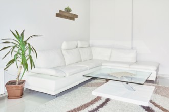 Sofa and Glass Table in the Corner of the Room