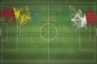 Guinea vs Italy Soccer Match, national colors, national flags, soccer field, football game,