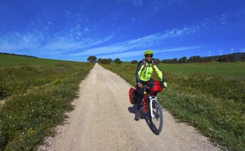 Biker by Camino de Santiago in bicycle at Saint James Way of Levante of Spain