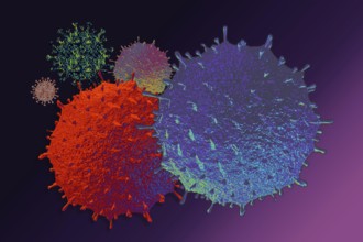 Quarantine and self-isolation. Covid-19 pandemic virus