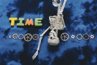 Time wording, cogwheels and artificial skeleton as time concept