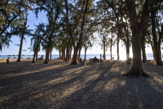 Evening mood, Flic en Flac, Beach, West coast, Indian Ocean, Island, Mauritius, Africa