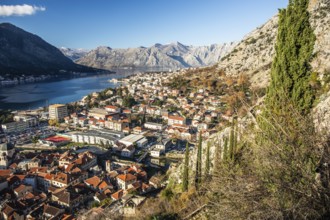 View of the town of Kotor and the Bay of Kotor from the hill above the town, Montenegro, Europe