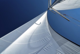 Sail of a sailing yacht in the wind while sailing on the sea