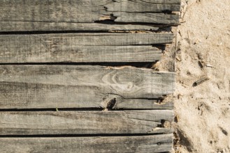 Wood boards on the beach. Old vintage woods