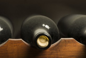 Wine bottles on shelf. Wine cellar. Close up wine bottles