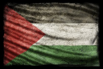 Palestine Flag, Grunge Texture Background