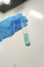 Test tube with blue liquid, held by a person in the laboratory, Youth Research Centre Nagold, Black