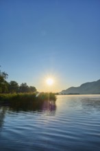 Lake shore, reeds, sunrise, summer, Steindorf am Lake Ossiach, Lake Ossiach, Carinthia, Austria