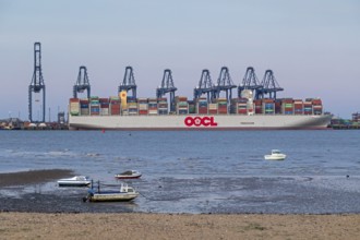 Container ship, container gantry cranes, boats, harbour, Harwich, Suffolk, England, Great Britain