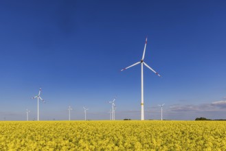 Wind farm near Temmenhausen in the Swabian Alb. Dornstadt Baden-Württemberg, Germany