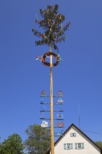 Maypole, customs, symbols of craftsmanship, tradition, decorated fir tree, wreath, ribbons, rear