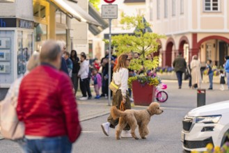 Street scene in a busy town with people walking and a dog on a lead, Nagold, Black Forest, Germany