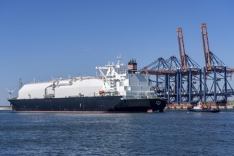 LNG tanker Bushu Maru, sailing under the flag of the Bahamas, transports liquefied natural gas from