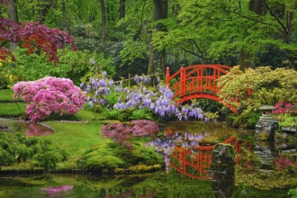 Small bridge in Japanese garden, Park Clingendael, The Hague, Netherlands