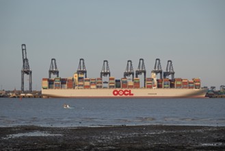 Container ship, container gantry cranes, boats, harbour, Harwich, Suffolk, England, Great Britain