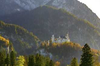 Neuschwanstein Castle in the evening sun, surrounded by impressive natural scenery, Neuschwanstein,