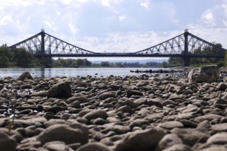 Elbe near Dresden with low water on 23 April 2025, Blaues Wunder bridge, drought, Saxony, Germany