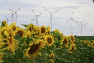 Wind turbines, summer, Germany