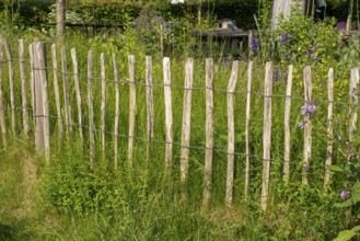 Picket fence in the park at the mill, Wyk, Föhr, North Sea island, North Frisia,