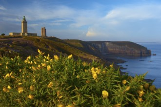 Coastal landscape with cliffs and sea, a lighthouse at Cap Frehel, gorse in the foreground, Cap