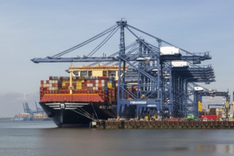 MSC Loreto, world's largest ship as of May 1st 2024, Port of Felixstowe, Suffolk, England, UK
