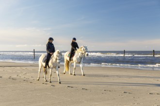2 riders on a grey horse on the north beach of Norderney, Lower Saxony, Germany