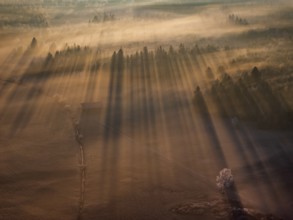 Sunrise, fog, hoarfrost, forest, winter, backlight, aerial view, Loisach-Lake Kochel-Moor, Alpine