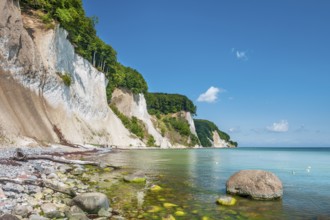 Keide coast with large stones and algae in the water of the Baltic Sea, driftwood, tree trunks on