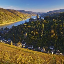 View of Bacharach with Stahleck Castle, hilltop castle above the Rhine, Upper Middle Rhine Valley
