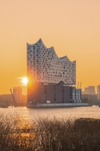 The sun rises behind the Elbphilharmonie and illuminates the surrounding area in golden colours,