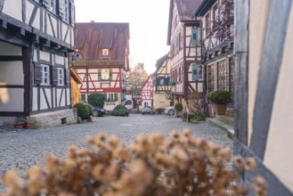 Cosy alley lined with traditional half-timbered houses with faded plants in focus, Sindelfingen,