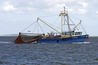 Trawler with dragnet fishing at sea, Texel, the Netherlands