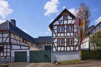 Half-timbered house with maypole in Pesch, Nettersheim, Eifel, Euskirchen district, North